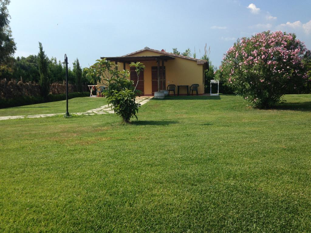 Agriturismo Eucaliptus Bolgheri Exterior foto