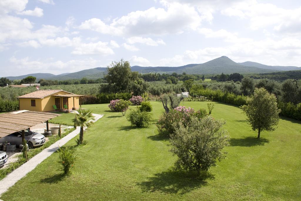 Agriturismo Eucaliptus Bolgheri Exterior foto