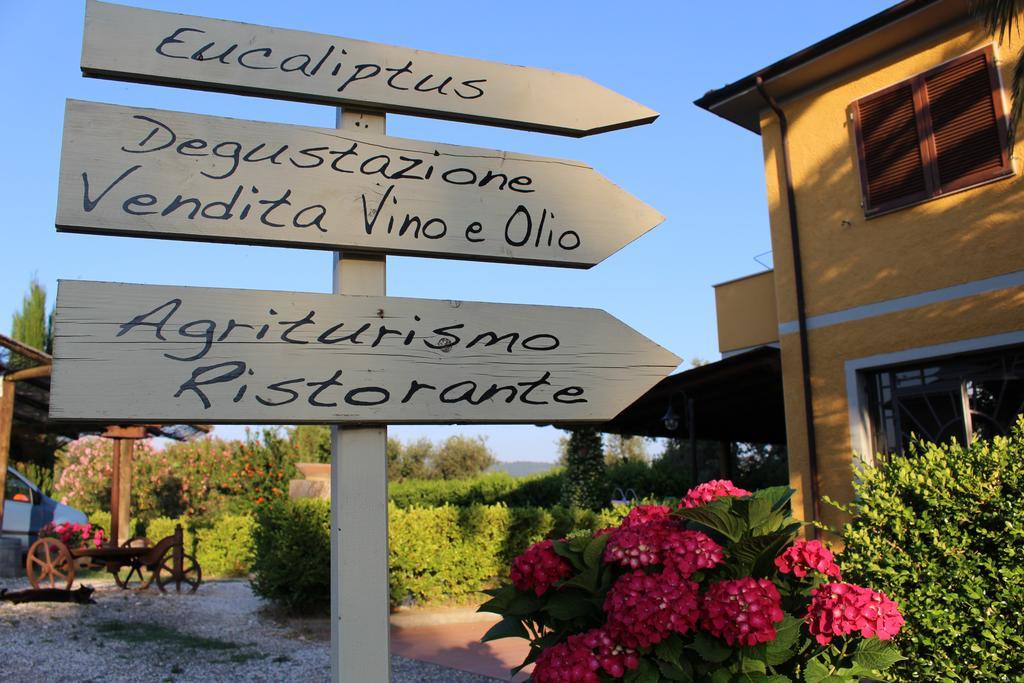 Agriturismo Eucaliptus Bolgheri Exterior foto