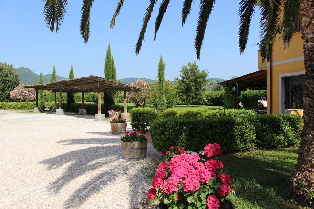 Agriturismo Eucaliptus Bolgheri Exterior foto
